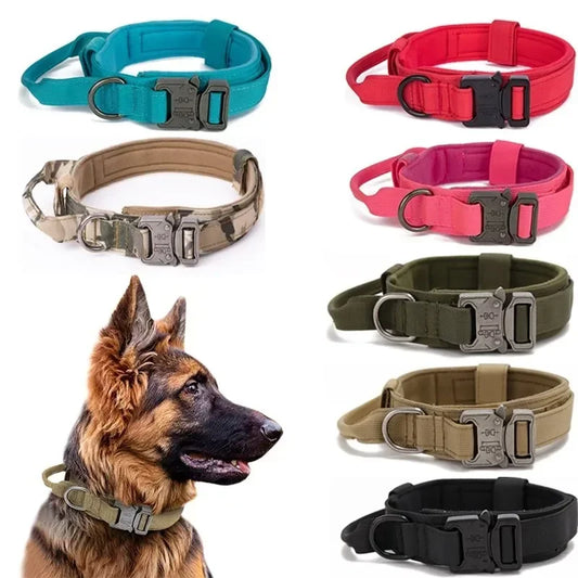 Durable Dog Collar