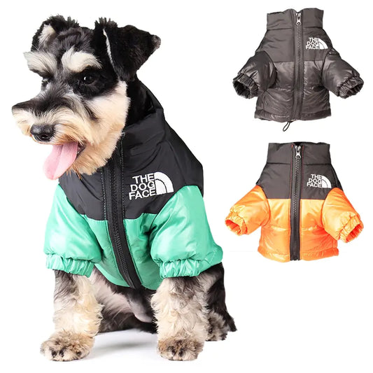 The Dog Face Jacket